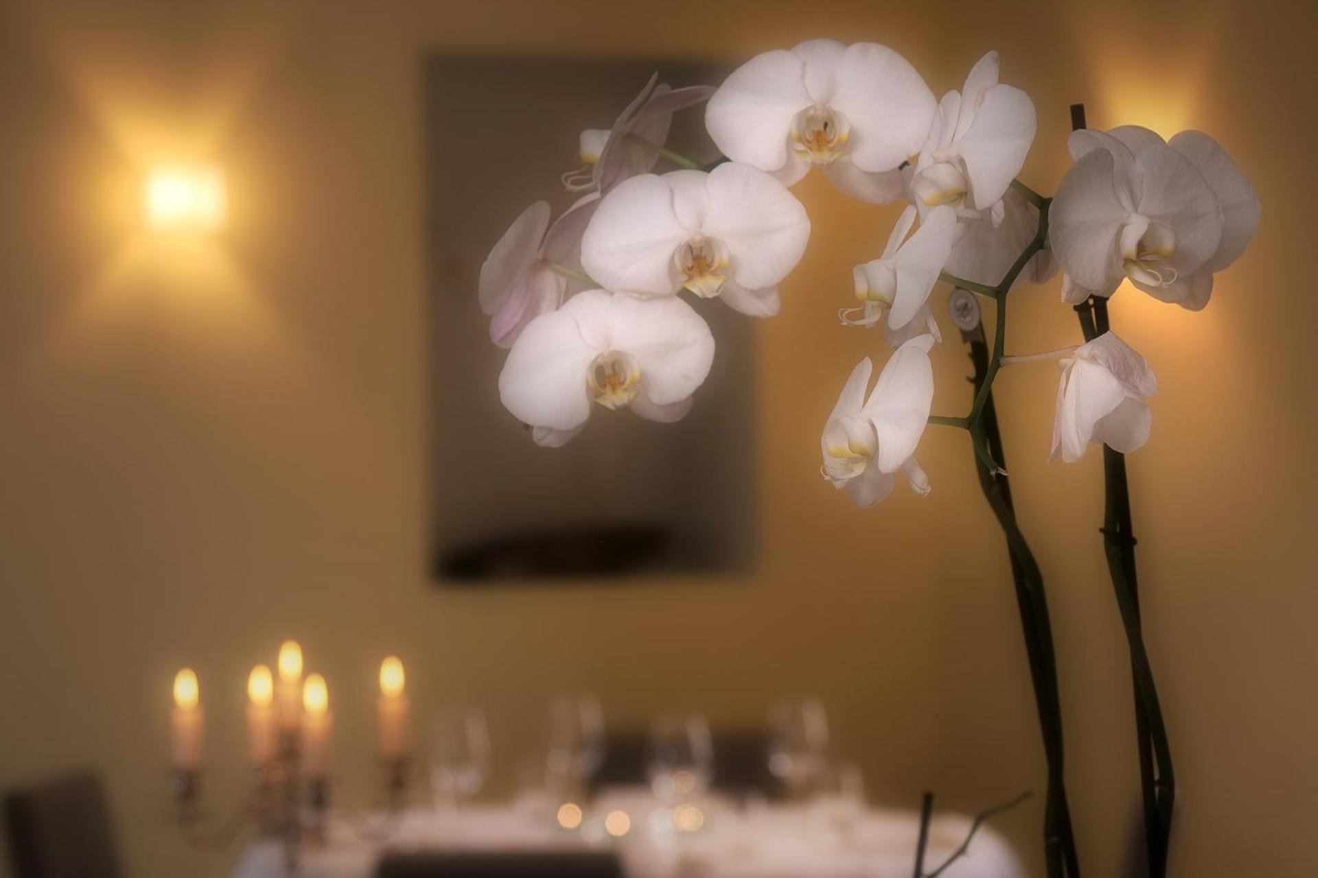 Ristorante Charme Hotel Tre Terre Ponte Brolla Ngoại thất bức ảnh