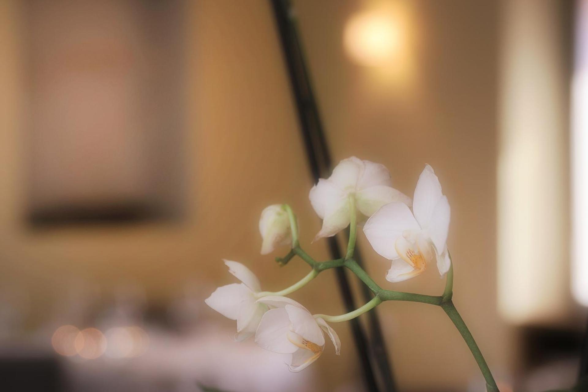 Ristorante Charme Hotel Tre Terre Ponte Brolla Ngoại thất bức ảnh